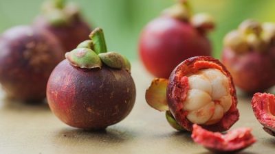 Manfaat Kulit Manggis Untuk Kesehatan Tubuh